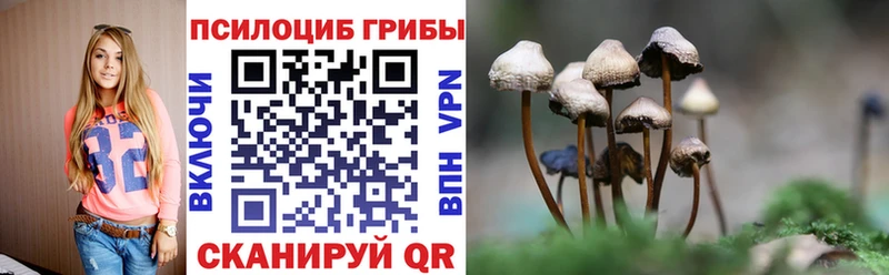 Галлюциногенные грибы MAGIC MUSHROOMS МЕГА как войти Макушино